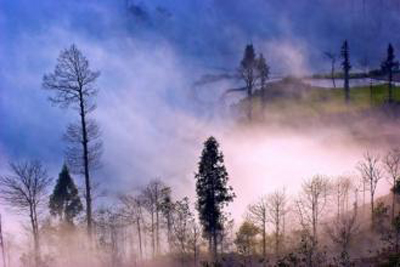 tcd經(jīng)顱多普勒